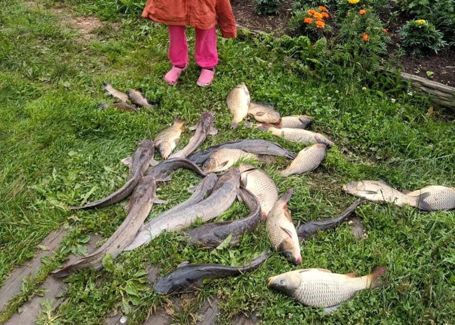 Аренда офиса  